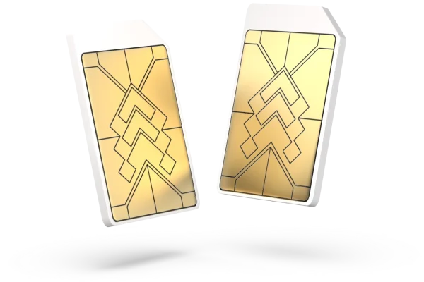 Teltonika Connectivity Plan IoT SIM card 500MB, 5 Years